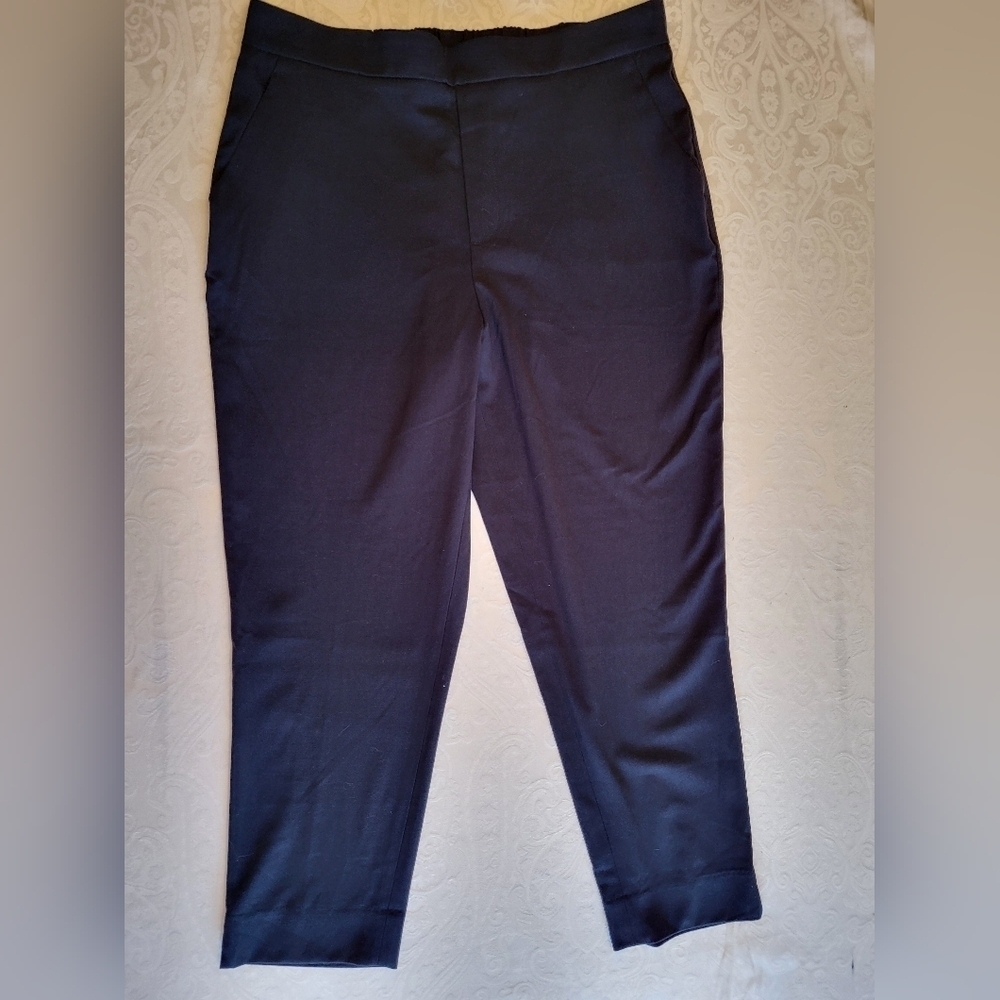 Banana Republic Ladies Blue Ankle Cropped Pants, Size 14, NWT